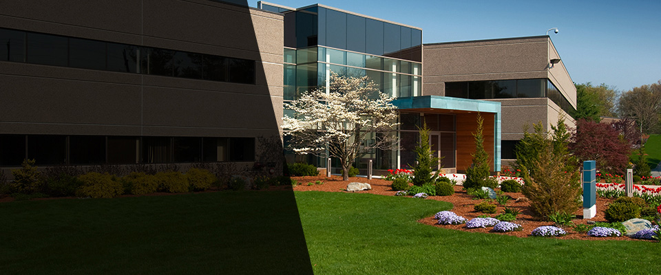 Palm Harbor Landscapers